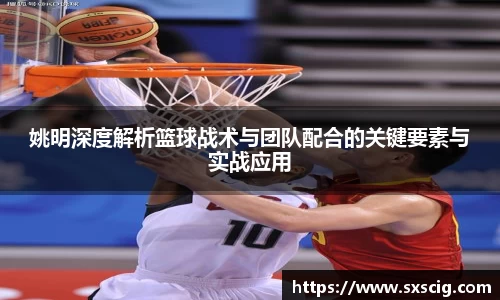 姚明深度解析篮球战术与团队配合的关键要素与实战应用