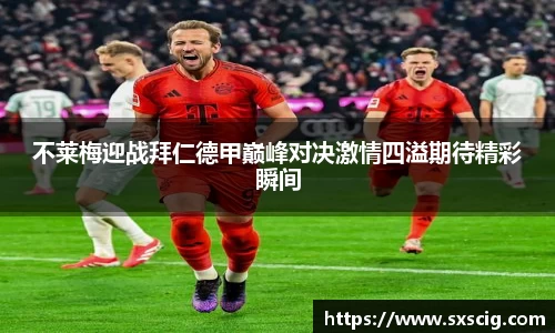 k1体育